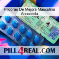 Píldoras De Mejora Masculina Anaconda new02